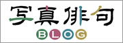 ̿жBlog